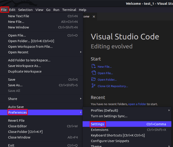 settings_file_vscode