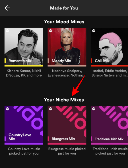 spotify-niche-mixes-3