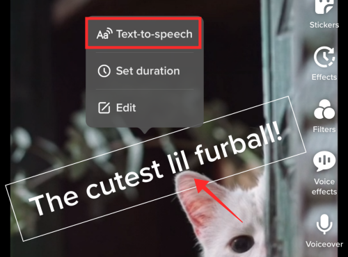 text-to-speech-tiktok-3-1 text-to-speech-tiktok-3-1