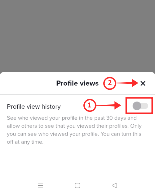 tiktok-profile-views-7-1-1