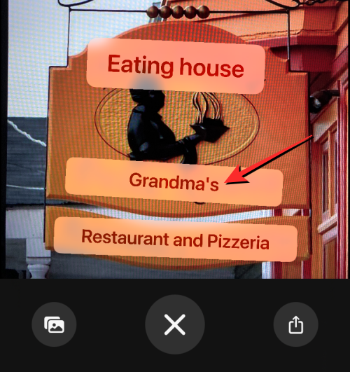 translate-camera-on-ios-16-35-b