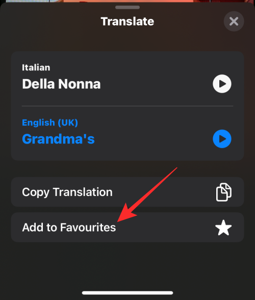 translate-camera-on-ios-16-37-c