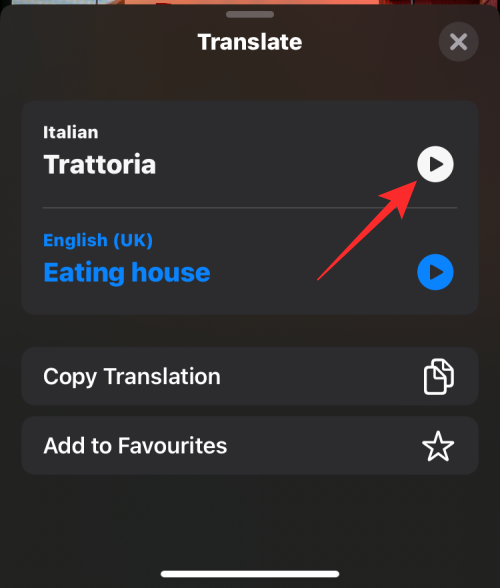translate-camera-on-ios-16-39-a