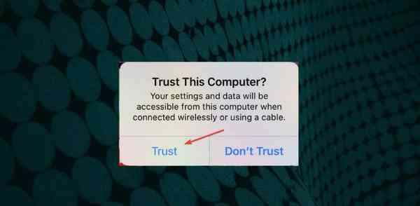 trust-option-1