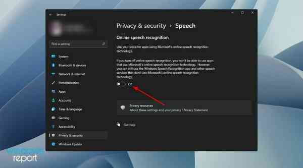 turn-off-online-speech-recognition