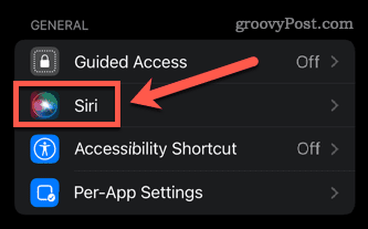 use-siri-iphone-13-siri-menu