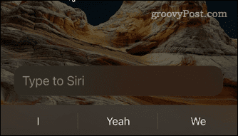 use-siri-iphone-13-type-to-siri-field