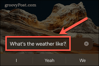use-siri-iphone-13-typed-siri-query