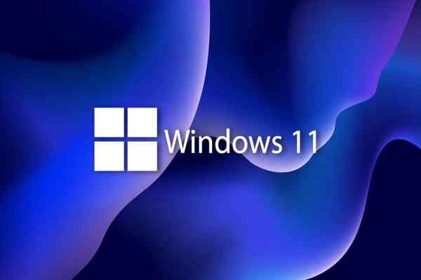 w11-validation-os
