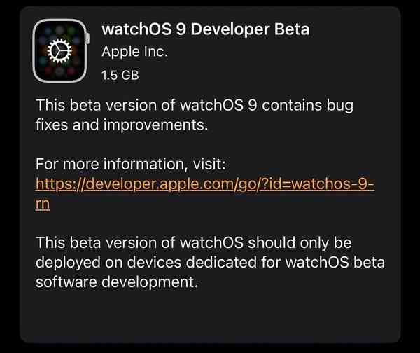 watchos-9-beta-1-1024x861-1 watchos-9-beta-1-1024x861-1