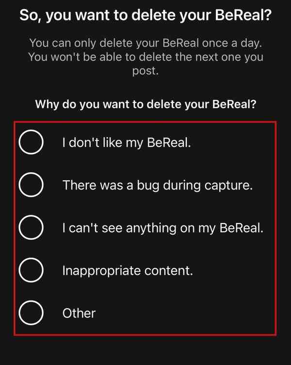 what-happens-when-you-delete-bereal4