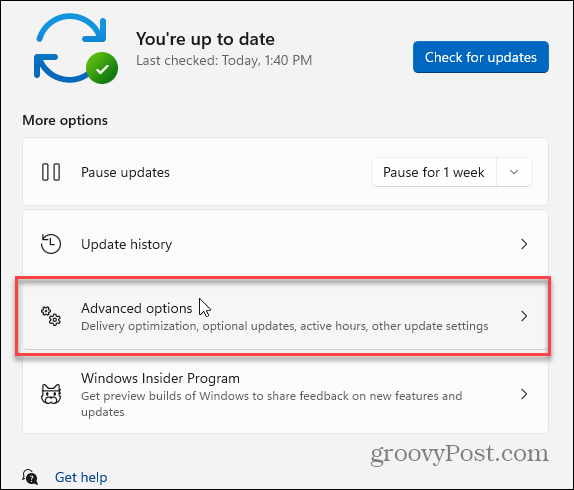 windows-11-advanced-options