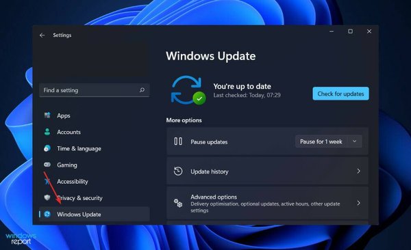 update-windows